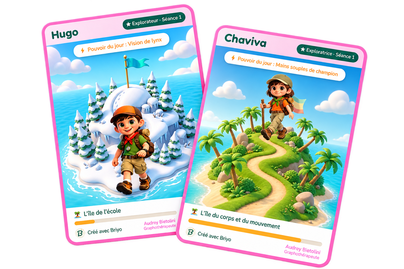 cartes Briyo